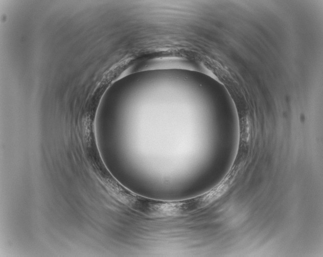 X0000059810184200510211126