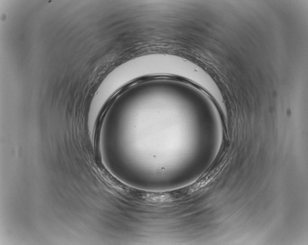 X0000059810185200510211126