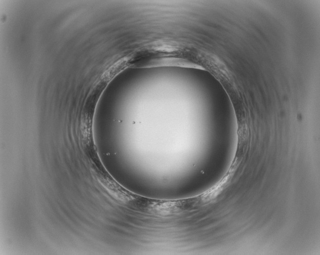 X0000059810186200510211126