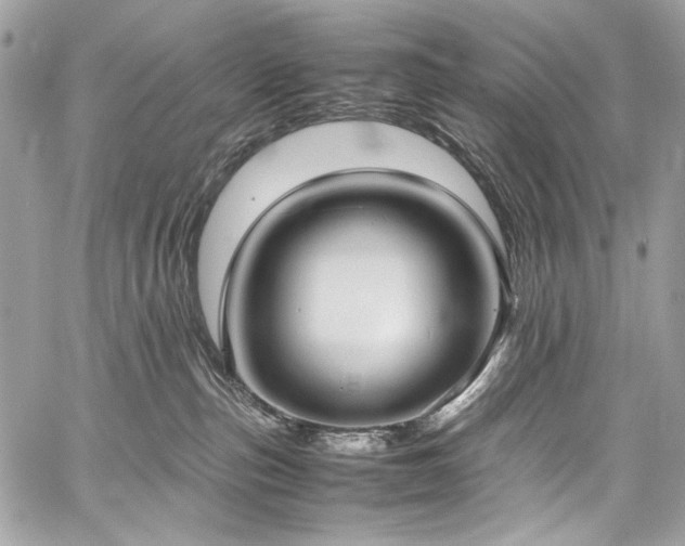 X0000059810187200510211126