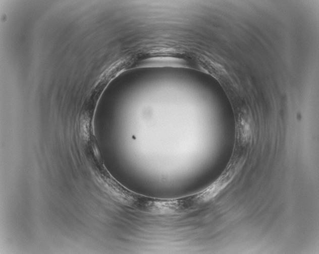 X0000059810188200510211126