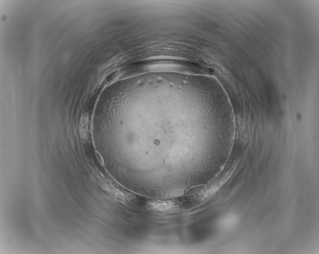 X0000059810189200510211126