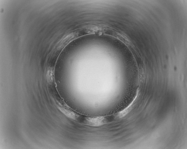 X0000059810191200510211126