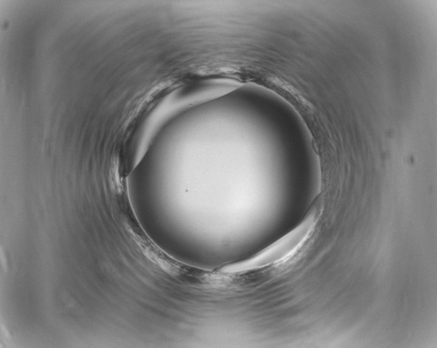 X0000059810192200510211126