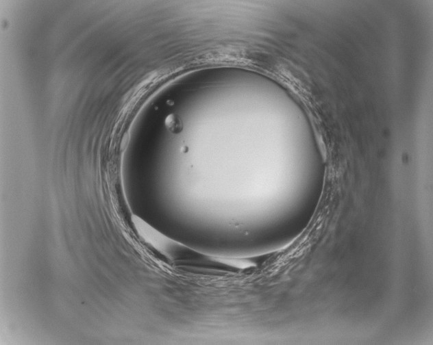 X0000059810193200510211125