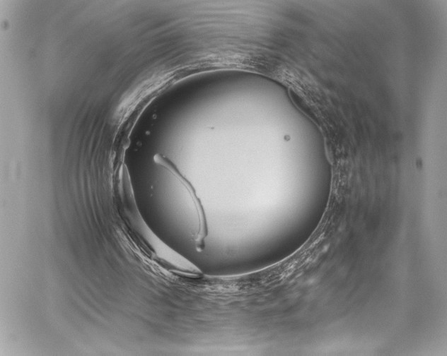 X0000059810194200510211125