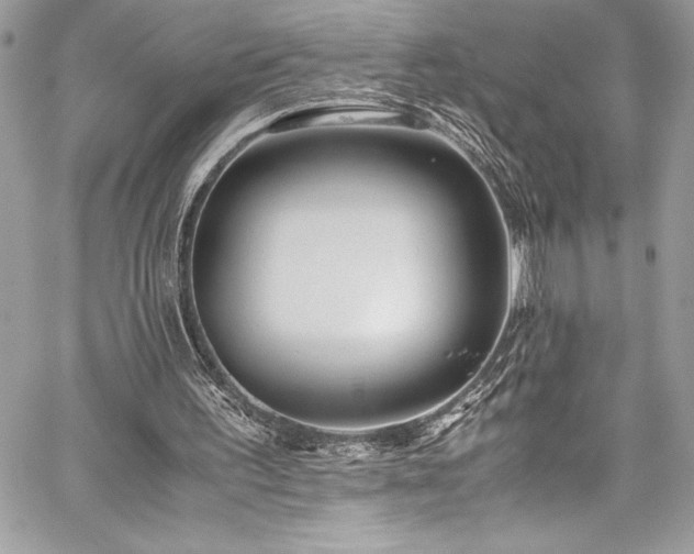 X0000059810195200510211125