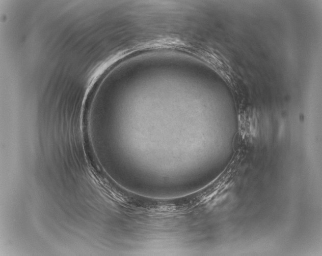 X0000059810196200510211125