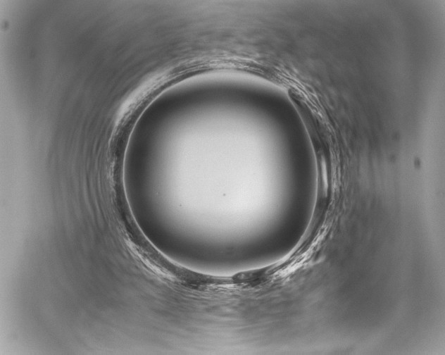 X0000059810197200510211125