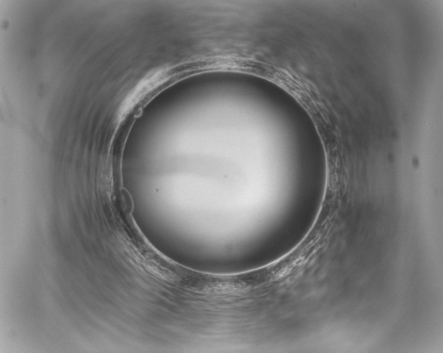 X0000059810198200510211125