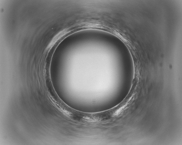 X0000059810199200510211125