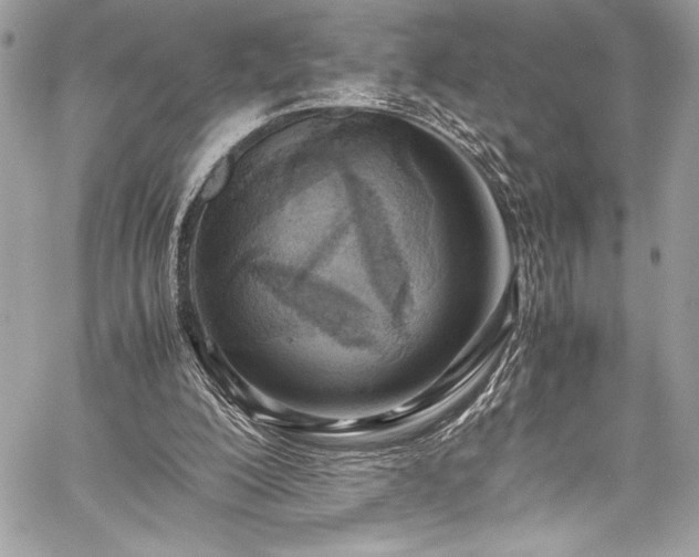 X0000059810200200510211125