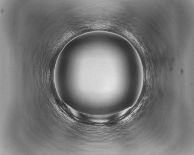 X0000059810201200510211125