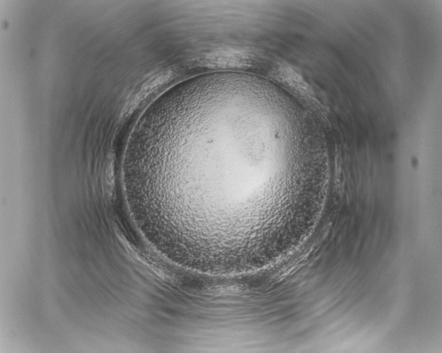 X0000059810202200510211125