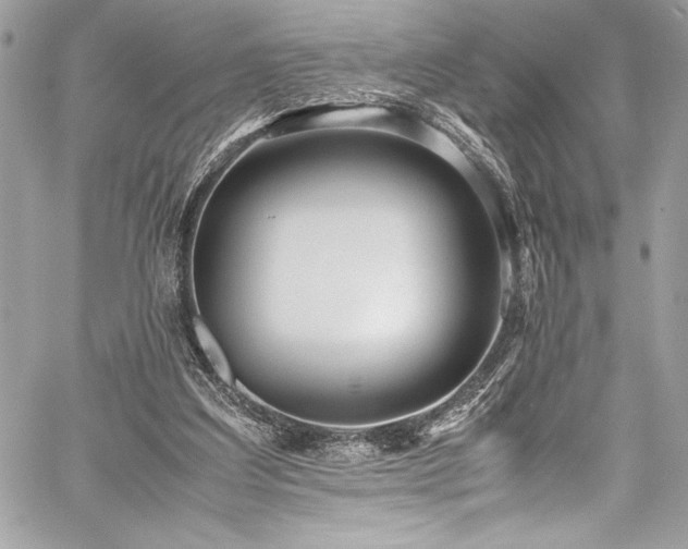 X0000059810203200510211125