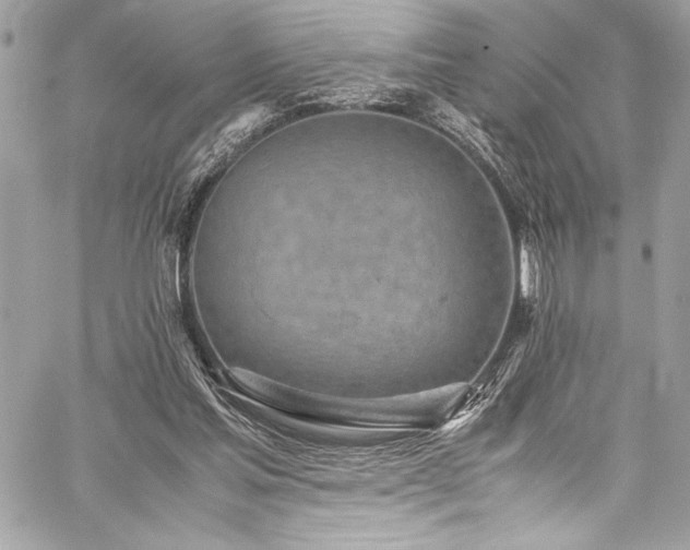 X0000059810205200510211125