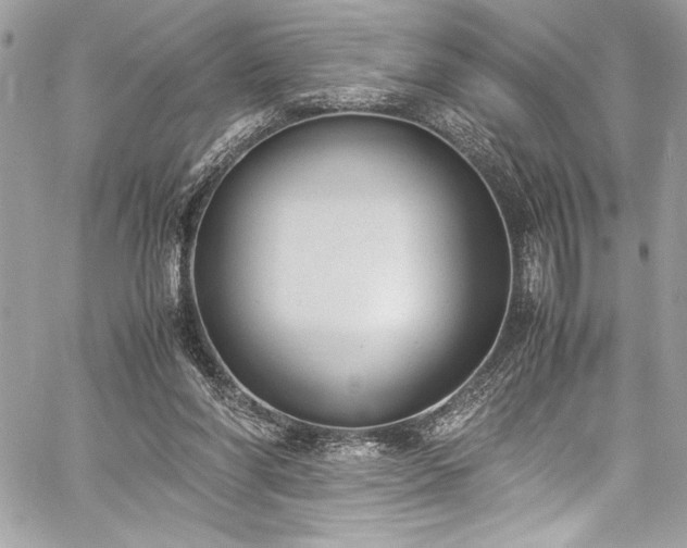 X0000059810206200510211125