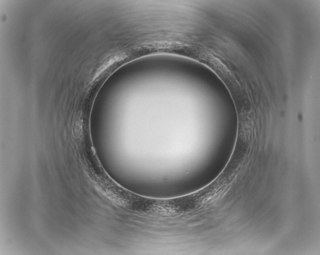 X0000059810207200510211125