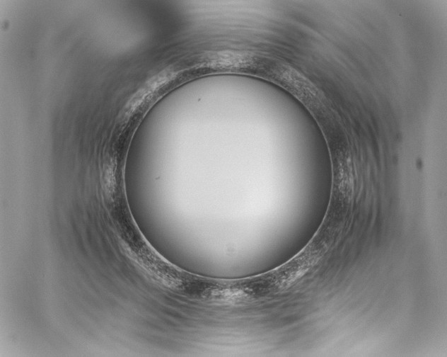 X0000059810208200510211125