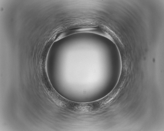 X0000059810209200510211125