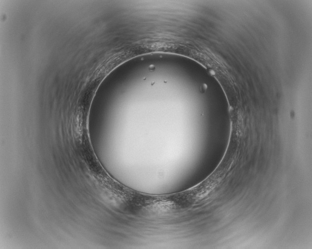 X0000059810210200510211125