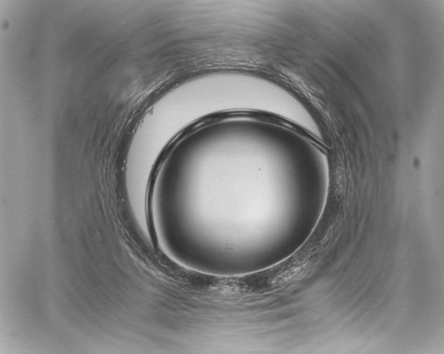 X0000059810211200510211125