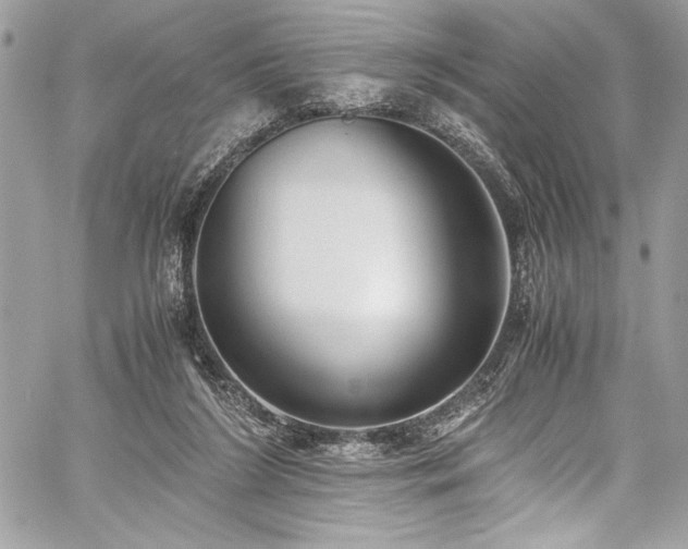 X0000059810212200510211125