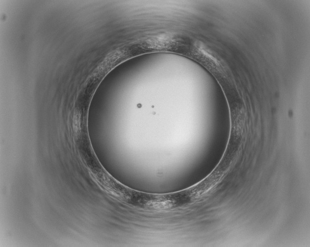 X0000059810213200510211125