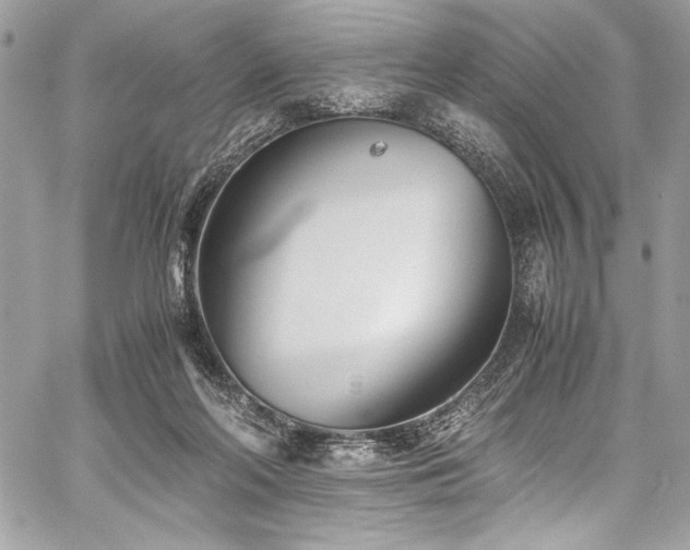 X0000059810214200510211125