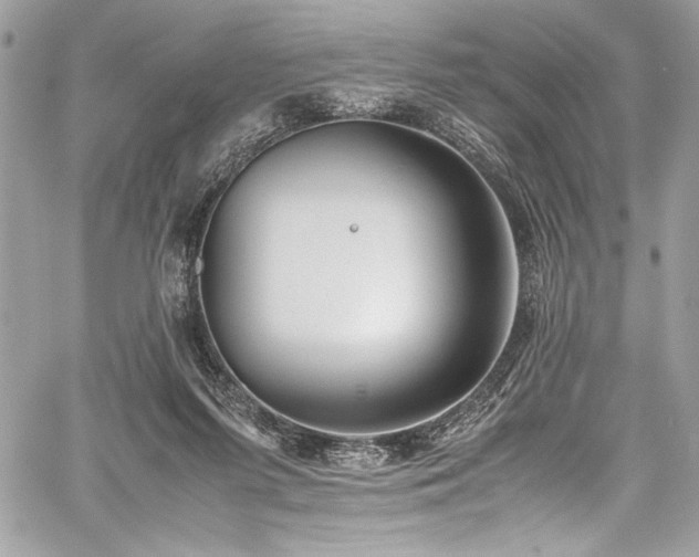 X0000059810215200510211125