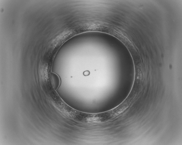 X0000059810216200510211125