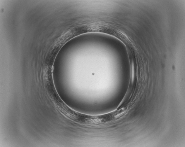 X0000059810217200510211125