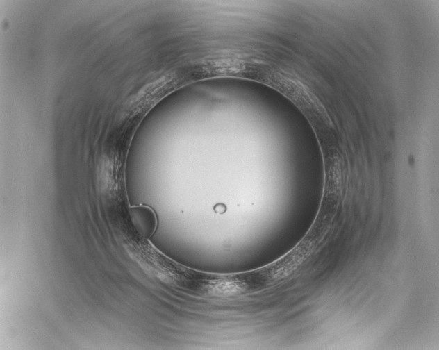 X0000059810218200510211125