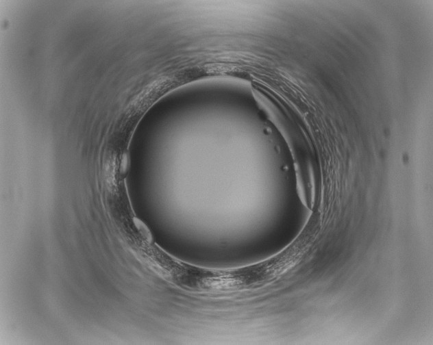 X0000059810219200510211125