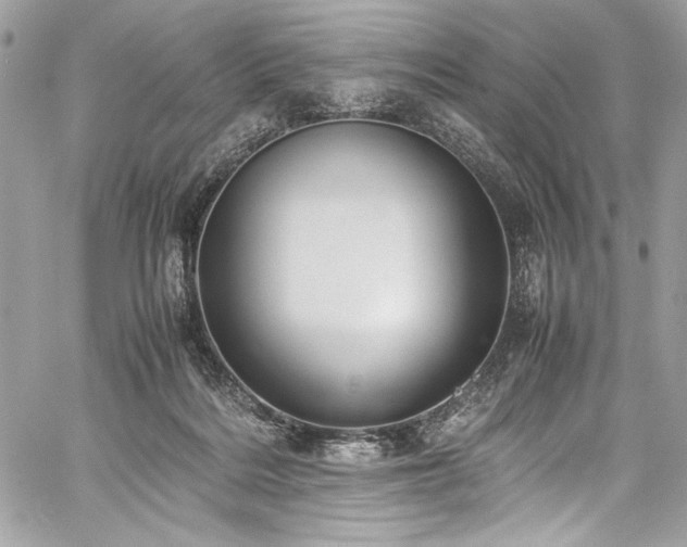 X0000059810220200510211125