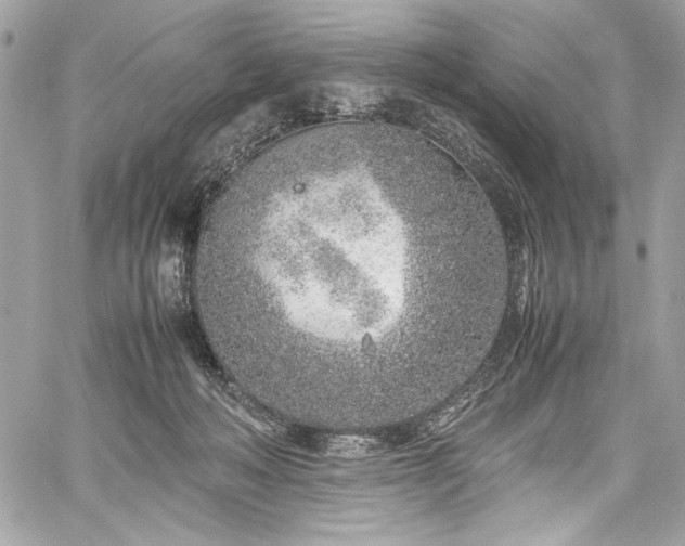 X0000059810222200510211125