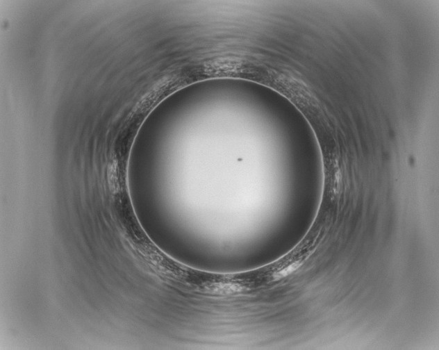 X0000059810224200510211125