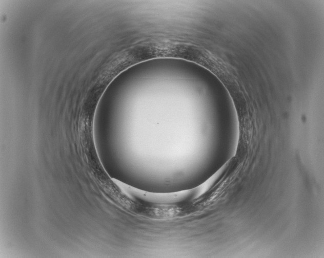 X0000059810225200510211125