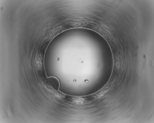 X0000059810226200510211125