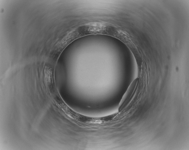 X0000059810227200510211125