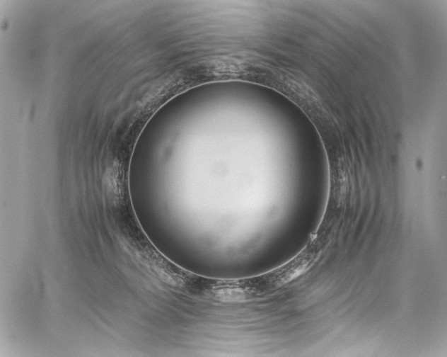 X0000059810228200510211125