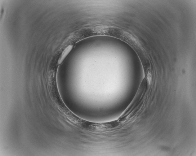 X0000059810229200510211125