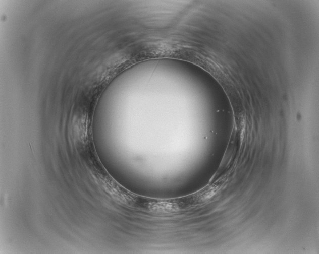 X0000059810230200510211125