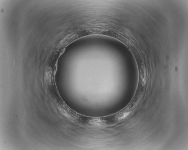 X0000059810231200510211125