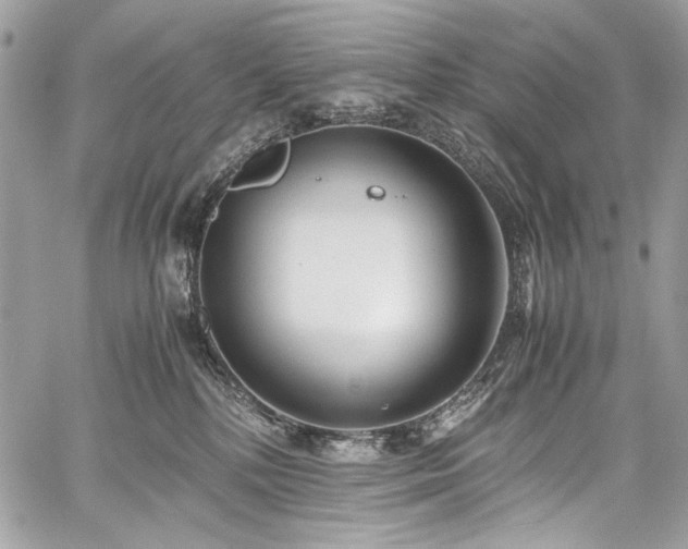 X0000059810232200510211125