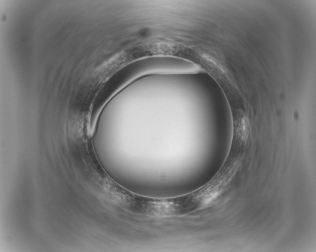 X0000059810233200510211125