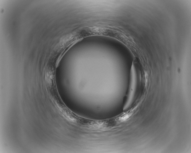 X0000059810235200510211125