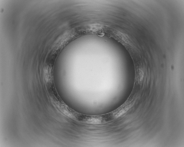 X0000059810236200510211124