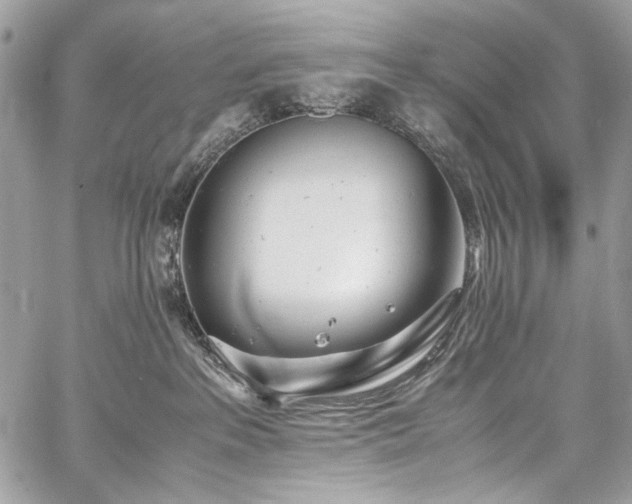 X0000059810237200510211124