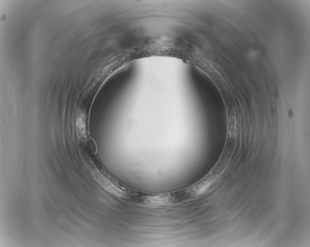 X0000059810238200510211124